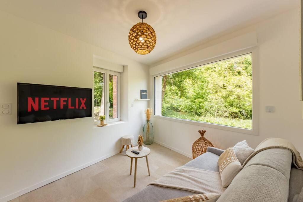 Le Rivera - Clim - Parking - Netflix - Nestor & Margot Auterive  Exterior foto